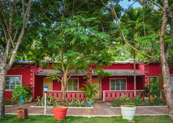 Dandeli Wild Jungle Resort